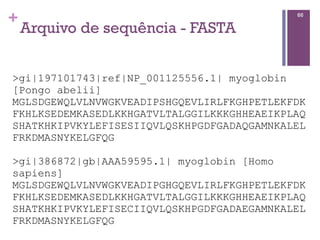 +
Arquivo de sequência - FASTA
66
>gi|197101743|ref|NP_001125556.1| myoglobin
[Pongo abelii]
MGLSDGEWQLVLNVWGKVEADIPSHGQEVLIRLFKGHPETLEKFDK
FKHLKSEDEMKASEDLKKHGATVLTALGGILKKKGHHEAEIKPLAQ
SHATKHKIPVKYLEFISESIIQVLQSKHPGDFGADAQGAMNKALEL
FRKDMASNYKELGFQG
>gi|386872|gb|AAA59595.1| myoglobin [Homo
sapiens]
MGLSDGEWQLVLNVWGKVEADIPGHGQEVLIRLFKGHPETLEKFDK
FKHLKSEDEMKASEDLKKHGATVLTALGGILKKKGHHEAEIKPLAQ
SHATKHKIPVKYLEFISECIIQVLQSKHPGDFGADAEGAMNKALEL
FRKDMASNYKELGFQG
 
