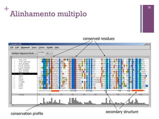+
Alinhamento multiplo
78
conservation profile
conserved residues
secondary structure
 