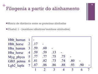 +
Filogenia a partir do alinhamento
nMatriz de distância entre as proteínas alinhadas
nClustal: 1 - (resíduos idênticos/resíduos alinhados)
79
-
.17 -
.59 .60 -
.59 .59 .13 -
.77 .77 .75 .75 -
.81 .82 .73 .74 .80 -
.87 .86 .86 .88 .93 .90 -
Hbb_human
Hbb_horse
Hba_human
Hba_horse
Myg_phyca
Glb5_petma
Lgb2_lupla
1
2
3
4
5
6
7
1 2 3 4 5 6 7
 