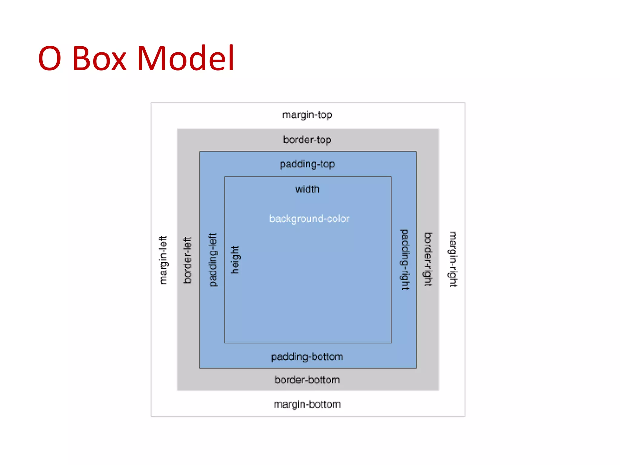 O Box Model