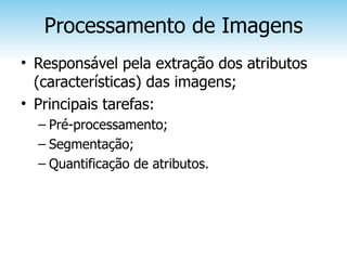 Processamento de Imagens
• Responsável pela extração dos atributos
  (características) das imagens;
• Principais tarefas:
  – Pré-processamento;
  – Segmentação;
  – Quantificação de atributos.
 