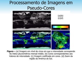 Processamento de Imagens em
          Pseudo-Cores
                                                    (a)(b)
                                                    (c)(d)




Figura – (a) Imagem em nível de cinza em que a intensidade corresponde
   Ao índice pluviométrico mensal médio. (b) Cores correspondentes aos
  Valores de intensidade. (c) Imagem codificada em cores. (d) Zoom da
                         região da América do Sul.
 