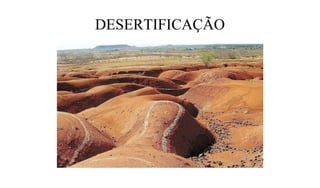DESERTIFICAÇÃO
 