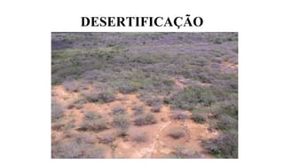 DESERTIFICAÇÃO
 