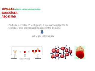 CONCEITOS BÁSICOS EM IMUNOHEMATOLOGIA
TIPAGEM
SANGUÍNEA
ABO E RhD
Pode-se detectar os antígenose anticorposatravés de
técnicas que provoquem reação entre os dois:
HEMAGLUTINAÇÃO
 