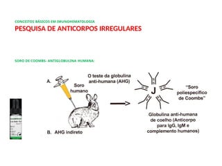 CONCEITOS BÁSICOS EM IMUNOHEMATOLOGIA
PESQUISA DE ANTICORPOS IRREGULARES
SORO DE COOMBS- ANTIGLOBULINA HUMANA:
 