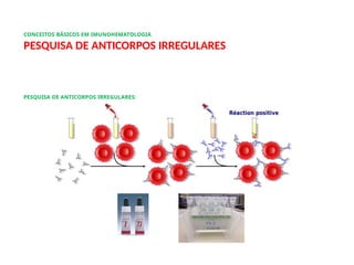 CONCEITOS BÁSICOS EM IMUNOHEMATOLOGIA
PESQUISA DE ANTICORPOS IRREGULARES
PESQUISA DE ANTICORPOS IRREGULARES:
 