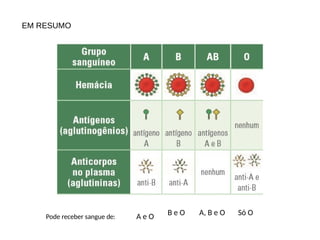 Pode receber sangue de: A e O B e O A, B e O Só O
EM RESUMO
 
