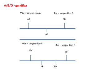 A/B/O - genética
Mãe – sangue tipo A
AA
Pai – sangue tipo B
BB
AB
Mãe – sangue tipo A
AO
Pai – sangue tipo B
BB
AB BO
 