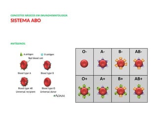 CONCEITOS BÁSICOS EM IMUNOHEMATOLOGIA
SISTEMA ABO
ANTÍGENOS:
 