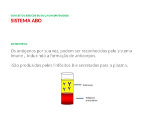 CONCEITOS BÁSICOS EM IMUNOHEMATOLOGIA
SISTEMA ABO
ANTICORPOS:
Os antígenos por sua vez, podem ser reconhecidos pelo sistema
imune , induzindo a formação de anticorpos.
-São produzidos pelos linfócitos B e secretadas para o plasma.
Anticorpos
Antígenos
eritrocitários
 