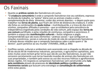 • Quanto as práticas sociais dos faxinalenses em suma:
• “O criadouro comunitário é onde o camponês faxinalense vive seu cotidiano, expresso
na divisão do trabalho, na “peleia” diária com os animais criados a solta –
complementação da dieta alimentar, cuidar dos animais doentes – e depois parte para
trabalhar nas terras de planta, que ficam até 10 km de distância do criadouro. É onde
são feitas as combinações da ajuda mútua – mutirão/puxirão, e a troca de dias entre
vizinhos, compadres afilhados e parentes – que se estabelece pela consciência da
independência engedrada pelas condições de vida comum, pelo espaço das terras de
uso comum partilhado; e pelas relações de vizinhança, compadrio e parentesco. É
também o espaço das manifestações culturais – festas religiosas e pagãs.
Compreendendo que são esses elementos – práticas sociais – que configuram as
relações econômicas, sociais e culturais do modo de vida do campesinato faxinalense.
É através dessas relações que o camponês faxinalense sabe e sente quem é “de
dentro”, quem pertence ao seu mundo” (TAVARES, 2008, p. 690)
•
• Conflitos sociais, culturais e ambientais vem ocorrendo com a chegada na década de
30 do século XX de madeireiros industriais, pecuaristas, e agricultores capitalistas, pois
estes muitas vezes tentam grilar terras que são do uso dos faxinalenses, ou por não
cercarem corretamente suas terras havendo invasões de animais dos faxinalenses em
suas propriedades, e também pelo acesso ao uso dos recursos hídricos e agroflorestais
destas regiões. Em resposta os camponeses faxinalenses vem construindo uma luta
pela resistência através de processos de identidade política e jurídica com
movimentos sociais que buscam uma estratégia se consolidação de solidariedade
entre estes povos.
Os Faxinais
 