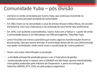 • manteve-se sendo comandada por Issamu Yuba, que continuou investindo na
avicultura como principal atividade da comunidade.
• Em 1961 insere-se na comunidade o casal de artistas Hissao e Akiko Ohara, ele escultor
ela bailarina. Com isso o balé passa a ser praticado de uma forma mais profissional,
• Em 1976, num acidente automobilístico, Issamu Yuba vem a falecer e a partir de então
a comunidade passou a ser lideradapor seu filho primogênito, Tetsuhiko Yuba,
• como Tetsuhiko era menos autoritário que Issamu algumas transformações foram se
processando, fato que ocorre até hoje. A comunidade deixou de ter uma administração
com poder centralizado, vindo existir assim a constituição de “outros poderes”
• Houve uma maior diversificação na produção
• a atividade principal de produção passou a ser a fruticultura da goiaba.
• comercializada tanto in natura, com a CEAGESP em São Paulo, quanto industrializada,
como geléia produzidas pela indústria da Cooperativa e parte era entregue às
indústrias ARISCO, ETTI, CICA, etc pela própria cooperativa.
Comunidade Yuba – pós divisão
 