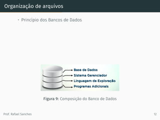 Organização de arquivos
• Princípio dos Bancos de Dados
Figura 9: Composição do Banco de Dados
Prof. Rafael Sanches 12
 