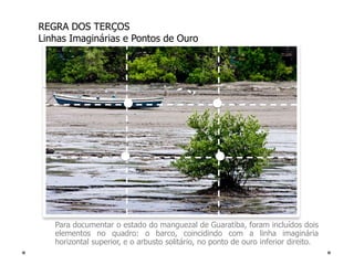 REGRA DOS TERÇOS
Linhas Imaginárias e Pontos de Ouro




   Para documentar o estado do manguezal de Guaratiba, foram incl...