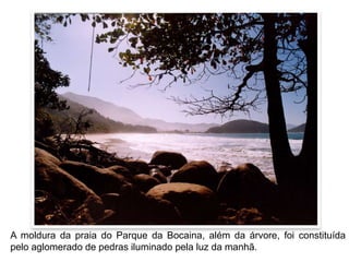 EMOLDURANDO COM A NATUREZA II
A moldura da praia do Parque da Bocaina, além da árvore, foi constituída
pelo aglomerado de pedras iluminado pela luz da manhã.
 