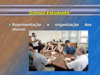 Grêmio Estudantil: 
 Representação e organização dos 
alunos. 
 
