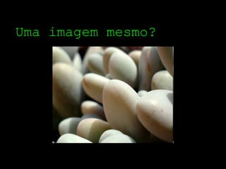 Uma imagem mesmo?
 