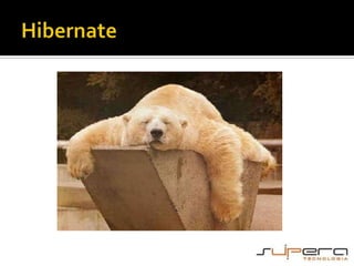 Hibernate