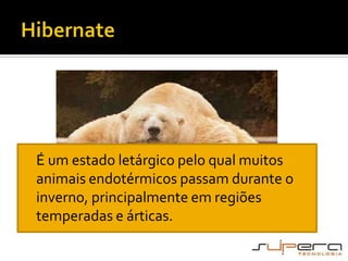 Hibernate    É um estado letárgico pelo qual muitos animais endotérmicos passam durante o inverno, principalmente em regiões temperadas e árticas.