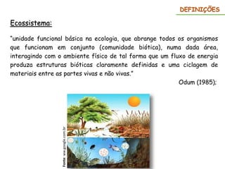 Ecossistema:
“unidade funcional básica na ecologia, que abrange todos os organismos
que funcionam em conjunto (comunidade biótica), numa dada área,
interagindo com o ambiente físico de tal forma que um fluxo de energia
produza estruturas bióticas claramente definidas e uma ciclagem de
materiais entre as partes vivas e não vivas.”
Odum (1985);
Fonte:
ww.google.com.br
DEFINIÇÕES
 