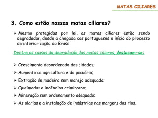 3. Como estão nossas matas ciliares?
 Mesmo protegidas por lei, as matas ciliares estão sendo
degradadas, desde a chegada dos portugueses e início do processo
de interiorização do Brasil.
Dentre as causas da degradação das matas ciliares, destacam-se:
 Crescimento desordenado das cidades;
 Aumento da agricultura e da pecuária;
 Extração de madeira sem manejo adequado;
 Queimadas e incêndios criminosos;
 Mineração sem ordenamento adequado;
 As olarias e a instalação de indústrias nas margens dos rios.
MATAS CILIARES
 