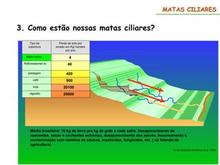 Média brasileira: 10 kg de terra pra kg de grão a cada safra. Desaparecimento de
nascentes, secas e enchentes extremas, desaparecimento dos peixes. Assoreamento e
contaminação com residios de adubos, inseticidas, fungicidas, etc. ( só falando de
agricultura)
Fonte:Adaptado de Bertoni et al, 1982)
20100
soja
40
Reflorestamen to
26600
algodão
900
café
400
pastagem
4
Mata nativa
Perda de solo por
erosão em Kg/ hectare
por ano
Tipo de
cobertura
MATAS CILIARES
3. Como estão nossas matas ciliares?
 