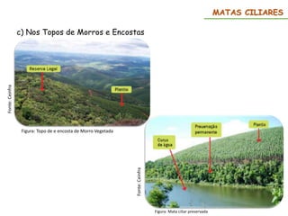 MATAS CILIARES
c) Nos Topos de Morros e Encostas
Fonte:
Ceinfra
Figura: Topo de e encosta de Morro Vegetada
Fonte:
Ceinfra
Figura: Mata ciliar preservada
 