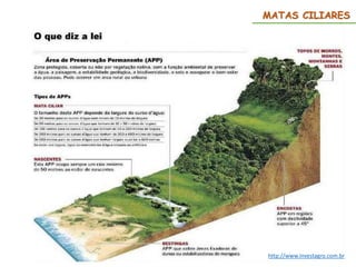 MATAS CILIARES
http://www.investagro.com.br
 