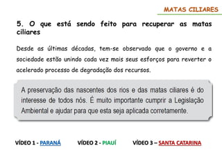 5. O que está sendo feito para recuperar as matas
ciliares
Desde as últimas décadas, tem-se observado que o governo e a
sociedade estão unindo cada vez mais seus esforços para reverter o
acelerado processo de degradação dos recursos.
MATAS CILIARES
VÍDEO 1 - PARANÁ VÍDEO 3 – SANTA CATARINA
VÍDEO 2 - PIAUÍ
 
