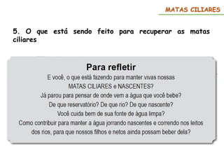 5. O que está sendo feito para recuperar as matas
ciliares
MATAS CILIARES
 