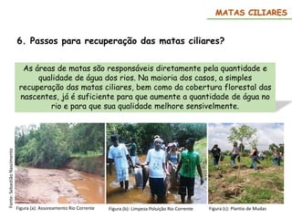6. Passos para recuperação das matas ciliares?
MATAS CILIARES
As áreas de matas são responsáveis diretamente pela quantidade e
qualidade de água dos rios. Na maioria dos casos, a simples
recuperação das matas ciliares, bem como da cobertura florestal das
nascentes, já é suficiente para que aumente a quantidade de água no
rio e para que sua qualidade melhore sensivelmente.
Figura (a): Assoreamento Rio Corrente
Fonte:
Sebastião
Nascimento
Figura (b): Limpeza Poluição Rio Corrente Figura (c): Plantio de Mudas
 