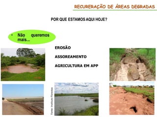 RECURERAÇÃO DE ÁREAS DEGRADAS
Fonte:
Instituto
Florestas
 