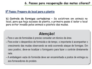 9º Passo: Preparo do local para o plantio
6. Passos para recuperação das matas ciliares?
b) Controle de formigas cortadeiras – Se existirem em animais no
local, para que haja sucesso do plantio, o primeiro passo é isolar o local
para evitar invasão pelos animais e pisoteio das mudas.
 