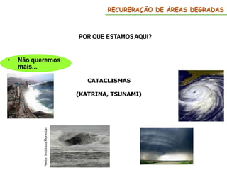 RECURERAÇÃO DE ÁREAS DEGRADAS
Fonte:
Instituto
Florestas
 