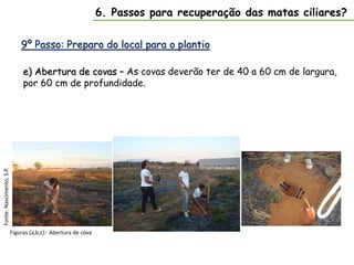9º Passo: Preparo do local para o plantio
6. Passos para recuperação das matas ciliares?
e) Abertura de covas – As covas deverão ter de 40 a 60 cm de largura,
por 60 cm de profundidade.
Fonte:
www.ilhasverdes.com.br
Figuras (a,b,c): Abertura de cova
Fonte:
Nascimento,
S.P.
 