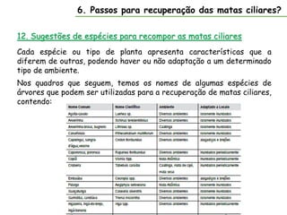 12. Sugestões de espécies para recompor as matas ciliares
6. Passos para recuperação das matas ciliares?
Cada espécie ou tipo de planta apresenta características que a
diferem de outras, podendo haver ou não adaptação a um determinado
tipo de ambiente.
Nos quadros que seguem, temos os nomes de algumas espécies de
árvores que podem ser utilizadas para a recuperação de matas ciliares,
contendo:
 