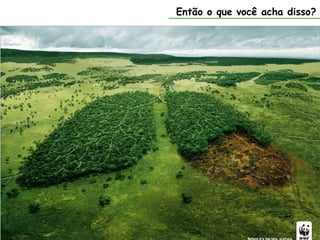 Então o que você acha disso?
 