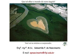 Engº. Agrº. M.Sc. Sebastião P. do Nascimento
E-mail: spnascimento@ifpi.edu.br
 