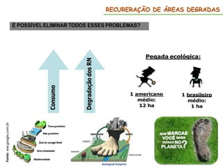 RECURERAÇÃO DE ÁREAS DEGRADAS
Fonte:
ww.google.com.br
 