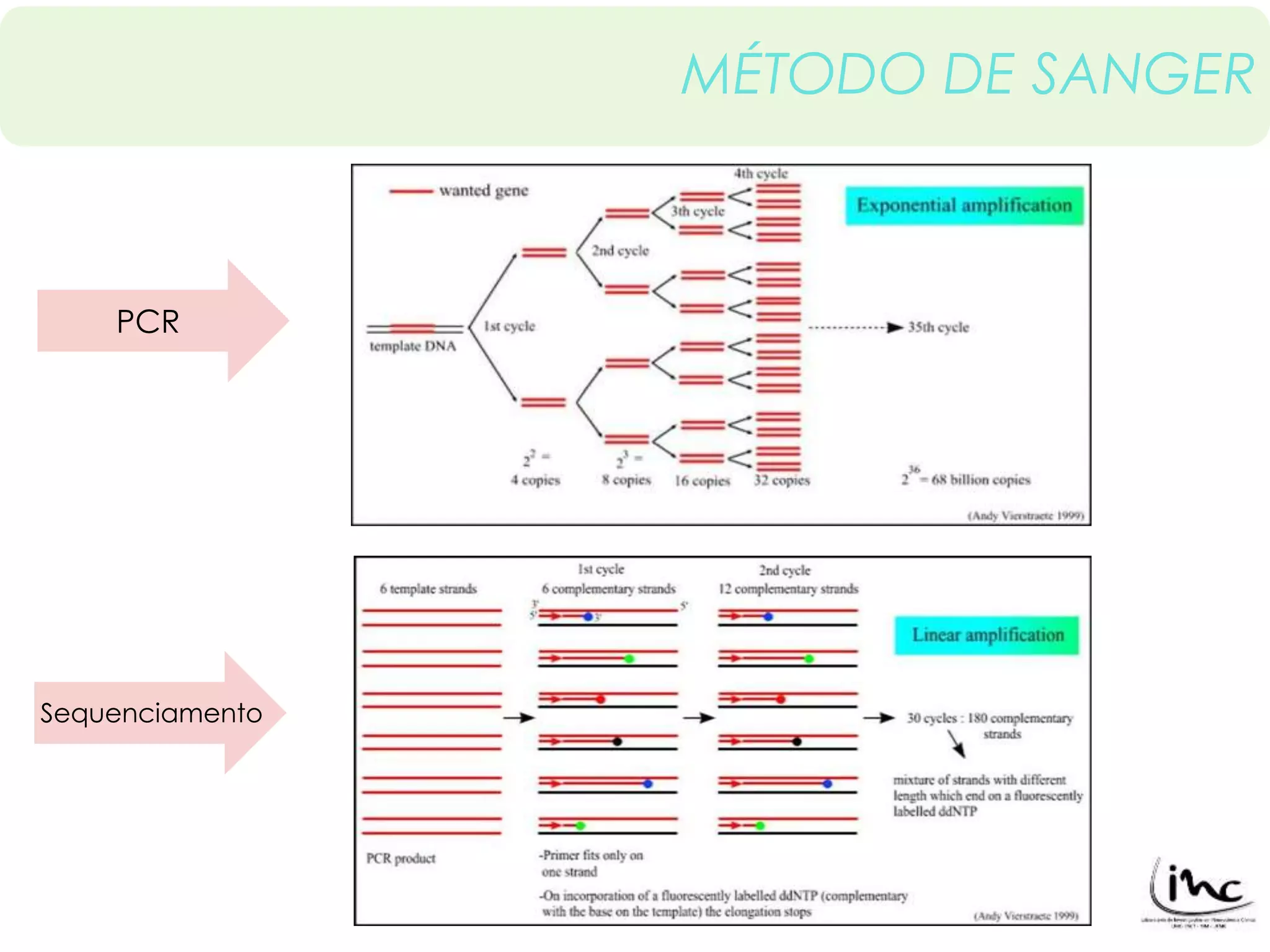 MÉTODO DE SANGER 
PCR 
Sequenciamento 
 