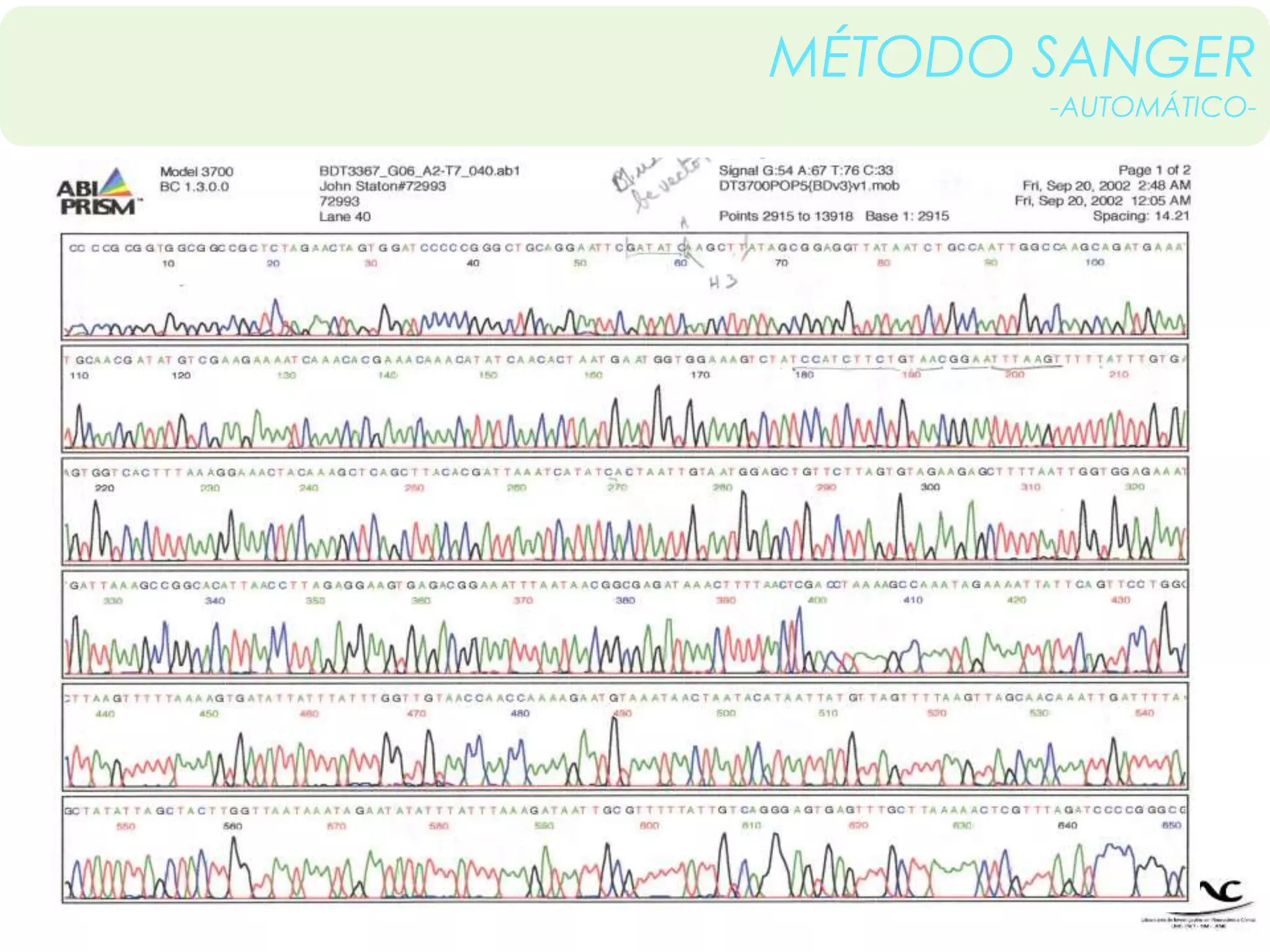 MÉTODO SANGER 
-AUTOMÁTICO- 
 
