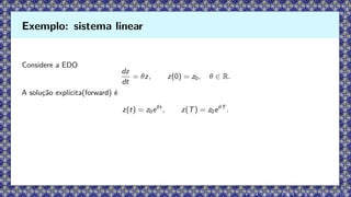 Considere a EDO
dz
dt
= θz, z(0) = z0, θ ∈ R.
A solução explícita(forward) é
z(t) = z0eθt
, z(T) = z0eθT
.
Exemplo: sistema linear
 