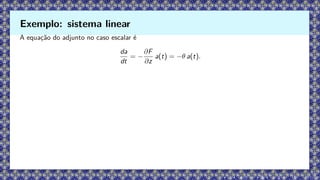 A equação do adjunto no caso escalar é
da
dt
= −
∂F
∂z
a(t) = −θ a(t).
Exemplo: sistema linear
 