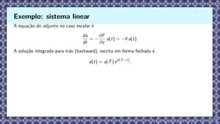 A equação do adjunto no caso escalar é
da
dt
= −
∂F
∂z
a(t) = −θ a(t).
A solução integrada para trás (backward), escrita em forma fechada é
a(t) = a(T) eθ(T−t)
.
Exemplo: sistema linear
 