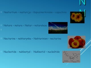 NN
NN Nasturtium – nasturcja – Kapuzinerkresse – capuchina
 Nature – natura – Natur – naturaleza

 Nectarine – nektarynka – Nektarinien – nectarina
 Nucleotide - nukleotyd - Nukleotid – nucleótido
 