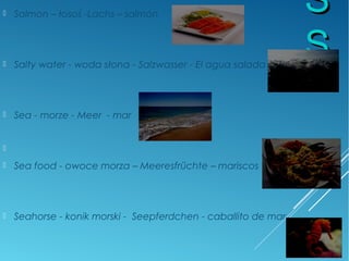 SS
SS
 Salmon – łosoś -Lachs – salmón
 Salty water - woda słona - Salzwasser - El agua salada
 Sea - morze - Meer - mar

 Sea food - owoce morza – Meeresfrüchte – mariscos
 Seahorse - konik morski - Seepferdchen - caballito de mar
 