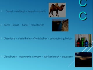 CC
CC
 Camel - wielbłąd – Kamel – camello
 Canal - kanał - Kanal – alcantarilla
 Chemicals – chemikalia – Chemikalien - productos químicos
 Cloudburst - oberwanie chmury – Wolkenbruch – aguacero
 