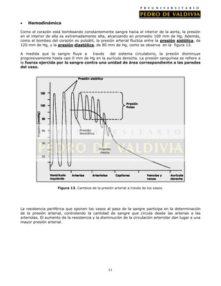 Hemodinámica

Como el corazón está bombeando constantemente sangre hacia el interior de la aorta, la presión
en el interior de ella es extremadamente alta, alcanzando en promedio 100 mm de Hg. Además,
como el bombeo del corazón es pulsátil, la presión arterial fluctúa entre la presión sistólica, de
120 mm de Hg, y la presión diastólica, de 80 mm de Hg, como se observa en la figura 13.

A medida que la sangre fluye a       través   del sistema circulatorio, la presión disminuye
progresivamente hasta casi 0 mm de Hg en la aurícula derecha. La presión sanguínea se refiere a
la fuerza ejercida por la sangre contra una unidad de área correspondiente a las paredes
del vaso.




                                                                        ´
                                                                        k




                     Figura 13. Cambios de la presión arterial a través de los vasos.




La resistencia periférica que oponen los vasos al paso de la sangre participa en la determinación
de la presión arterial, controlando la cantidad de sangre que circula desde las arterias a las
arteriolas. El aumento de la resistencia y la disminución de la circulación arteriolar dan lugar a una
mayor presión arterial.




                                                   11
 