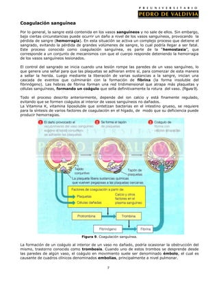 Coagulación sanguínea

Por lo general, la sangre está contenida en los vasos sanguíneos y no sale de ellos. Sin embargo,
bajo ciertas circunstancias puede ocurrir un daño a nivel de los vasos sanguíneos, provocando la
pérdida de sangre (hemorragia). En esta situación se activa un complejo proceso que detiene el
sangrado, evitando la pérdida de grandes volúmenes de sangre, lo cual podría llegar a ser fatal.
Este proceso conocido como coagulación sanguínea, es parte de la “hemostasia”, que
corresponde a un conjunto de mecanismos con que el cuerpo responde deteniendo la hemorragia
de los vasos sanguíneos lesionados.

El control del sangrado se inicia cuando una lesión rompe las paredes de un vaso sanguíneo, lo
que genera una señal para que las plaquetas se adhieran entre sí, para comenzar de esta manera
a sellar la herida. Luego mediante la liberación de varias sustancias a la sangre, inician una
cascada de eventos que culminarán con la formación de fibrina (la forma insoluble del
fibrinógeno). Las hebras de fibrina forman una red tridimensional que atrapa más plaquetas y
células sanguíneas, formando un coágulo que sella definitivamente la rotura del vaso. (Figura 9).

Todo el proceso descrito anteriormente, depende del ion calcio y está finamente regulado,
evitando que se formen coágulos al interior de vasos sanguíneos no dañados.
La Vitamina K, vitamina liposoluble que sintetizan bacterias en el intestino grueso, se requiere
para la síntesis de varios factores de coagulación en el hígado, de modo que su deficiencia puede
producir hemorragias.




                                 Figura 9. Coagulación sanguínea.

La formación de un coágulo al interior de un vaso no dañado, podría ocasionar la obstrucción del
mismo, trastorno conocido como trombosis. Cuando uno de estos trombos se desprende desde
las paredes de algún vaso, el coágulo en movimiento suele ser denominado émbolo, el cual es
causante de cuadros clínicos denominados embolias, principalmente a nivel pulmonar.

                                               7
 